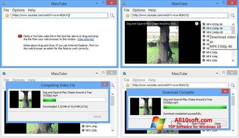 Снимка на екрана MassTube за Windows 10