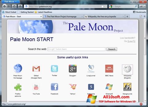 Снимка на екрана Pale Moon за Windows 10