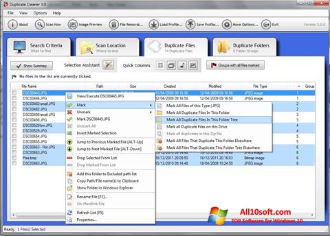 Снимка на екрана Duplicate Cleaner за Windows 10