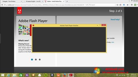 Снимка на екрана Adobe Flash Player за Windows 10